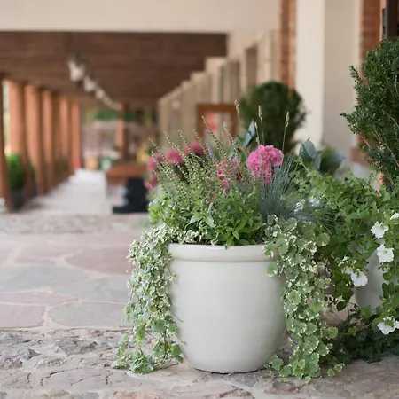 Hotel Hotel Szymbark